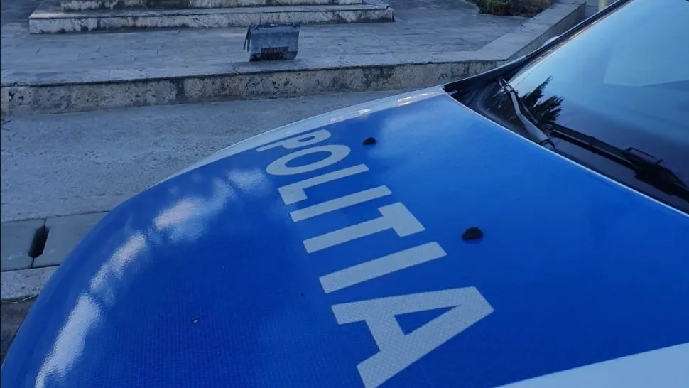 Dosar penal pentru tăiere ilegală de arbori, după controale ale polițiștilor din Galda de Jos