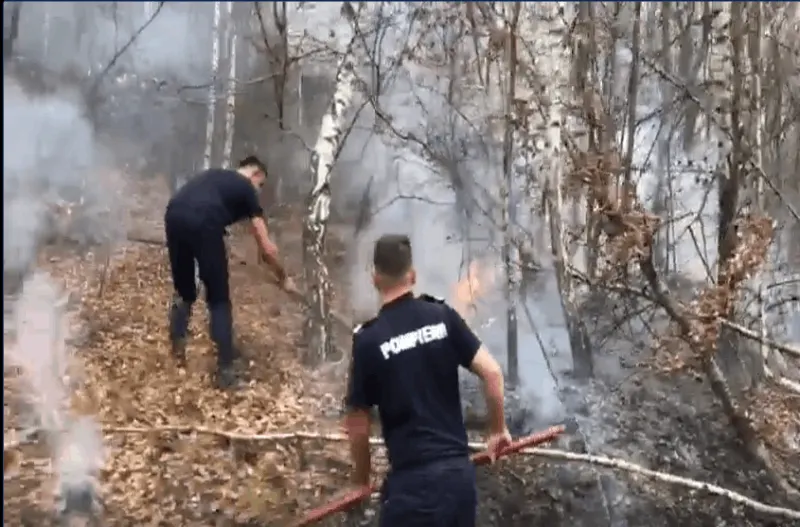 VIDEO: Pompierii intervin la un incendiu mare în Sălciua de Sus