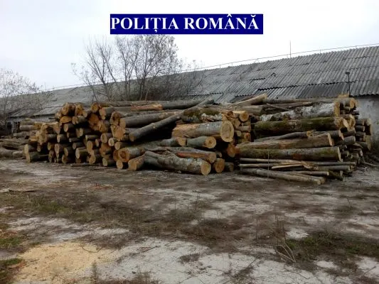 Transportatori de material lemnos amendați cu 10.000 de lei