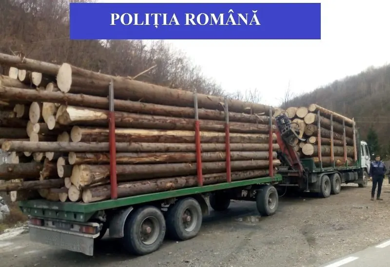 15 mc de lemne confiscate de polițiștii din Sebeș