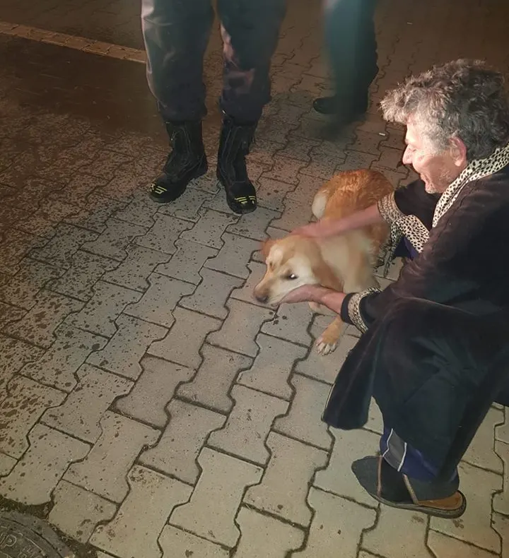 FOTO: Câine salvat dintr-o fântănă de pompierii din Alba Iulia