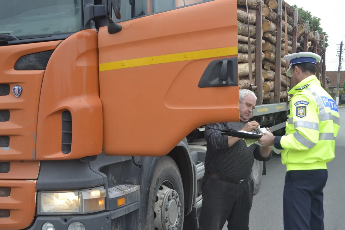 Transport ilegal de lemne oprit de polițiștii rutieri din Abrud