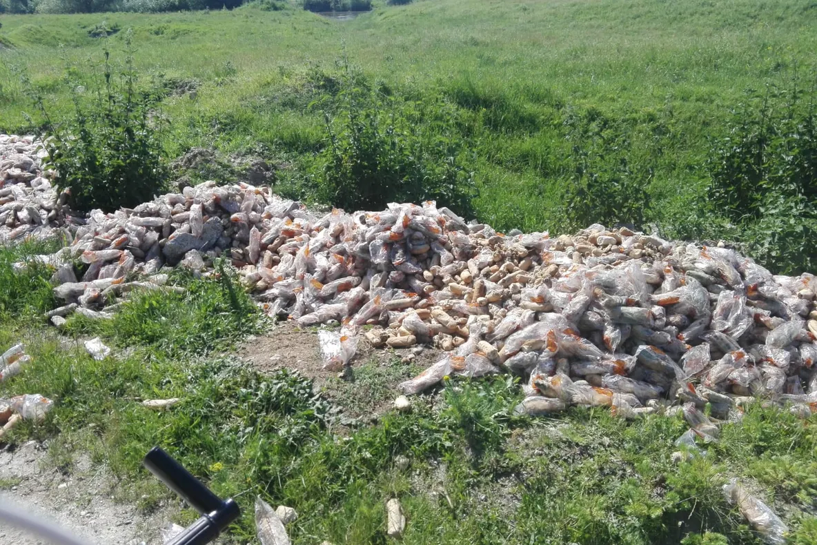 Mii de cornuri din programul ” Cornul și laptele” , aruncate pe malul râului Mureș într-o zonă greu accesibilă