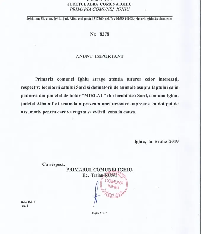 O ursoaică cu doi pui și-au făcut apariția în comuna Ighiu. Autoritățile avertizează populația