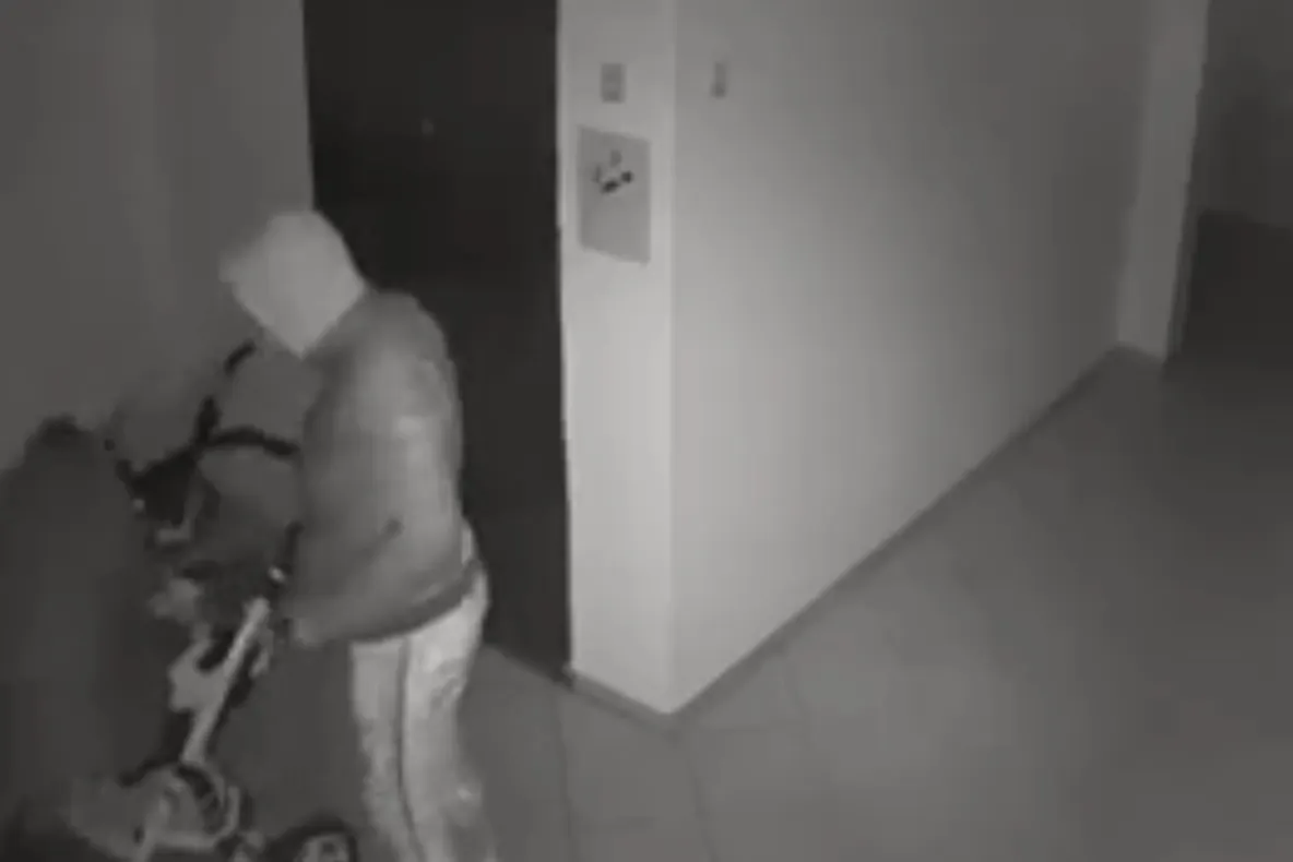 VIDEO : Un cărucior de copii și o tricicletă au fost sustrase din scara unui bloc din Alba Iulia.
