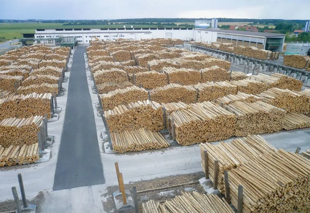 Holzindustrie Schweighofer  respinge acuzaţiile privind implicarea sa în modificarea Codului Silvic.