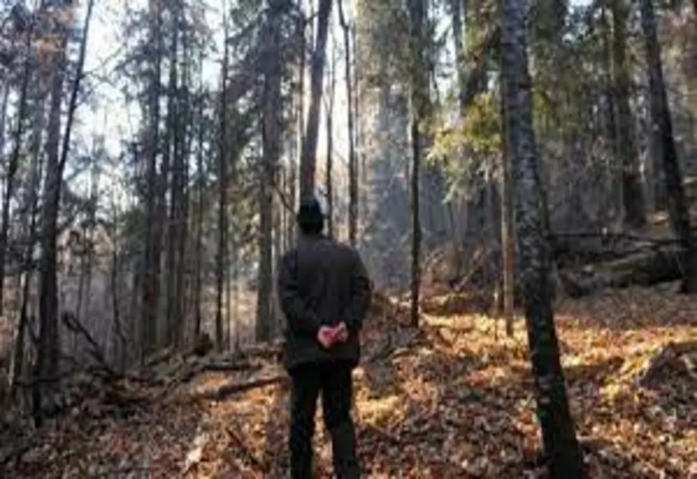 Pădurat din zona Blajului, săltat de polițiști
