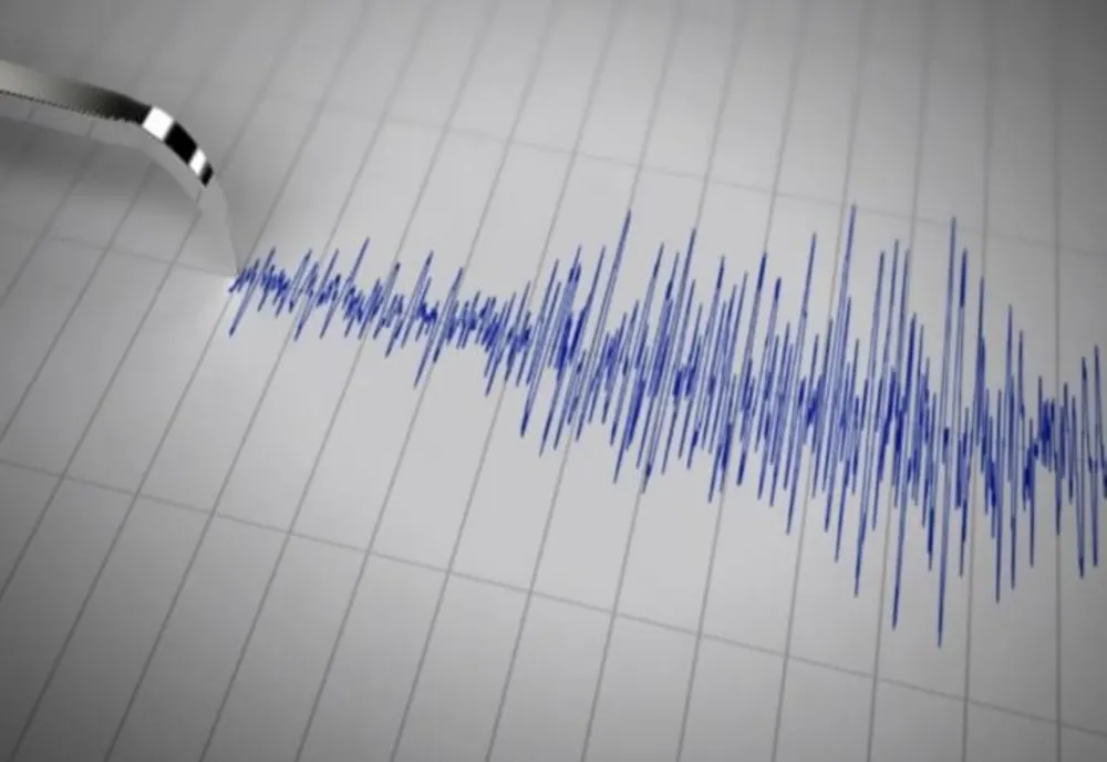 Val de cutremure, în România: PESTE 4 grade. Activitate seismică INTENSĂ