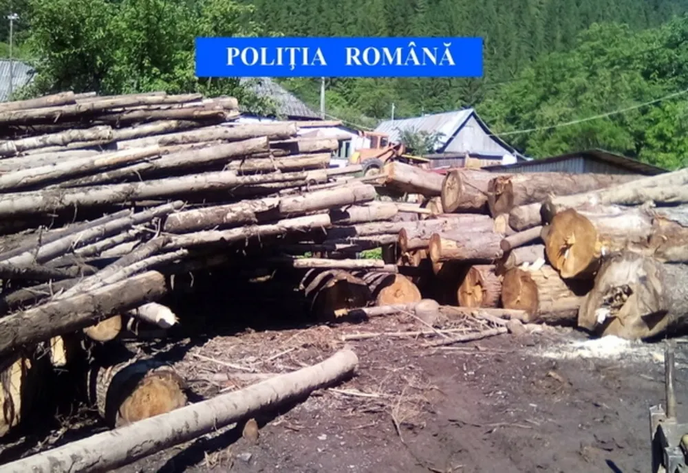 Ce amendă a primit un depozit de materiale lemnoase pentru nereguli în acte