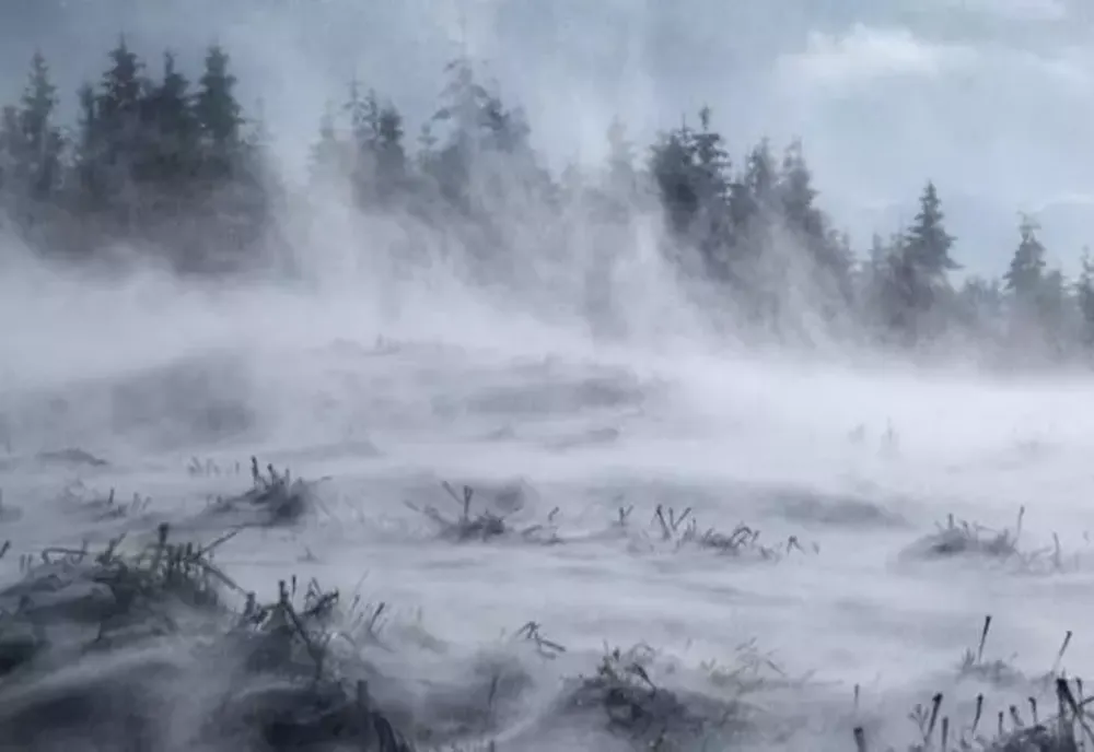 Ninsori puternice în țară, coduri galbene în vigoare - Imagini cu fenomenele extreme