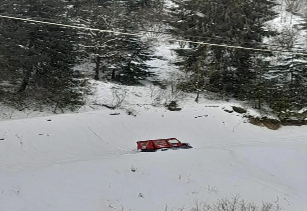 Copaci căzuți pe carosabil, mașini înzăpezite! 
