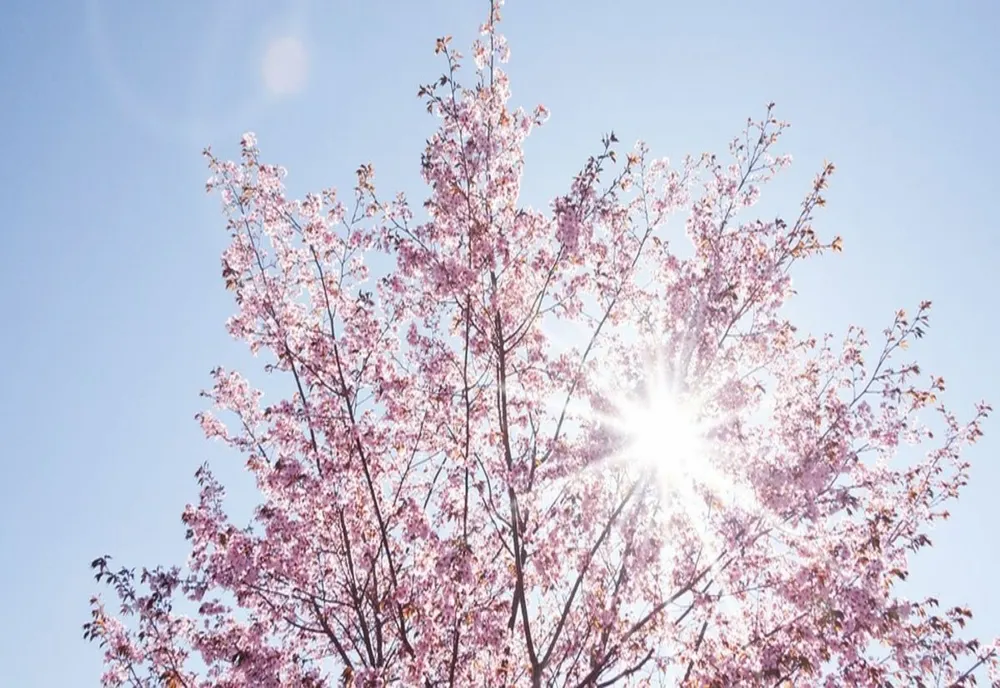 Meteorologii vin cu vești bune pentru mini-vacanța de 1 mai! ANM: Vremea va fi frumoasă