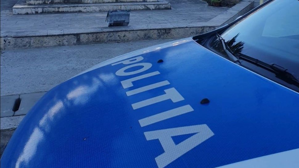 Dosar penal pentru tăiere ilegală de arbori, după controale ale polițiștilor din Galda de Jos