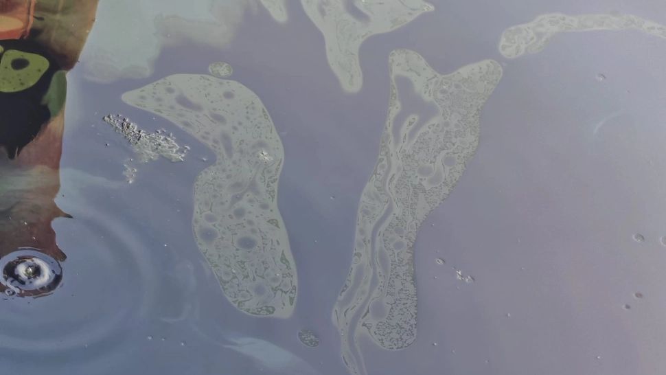 Poluare accidentală pe Dunăre, la Turnu Măgurele. Alimentarea cu apă a orașului, oprită preventiv