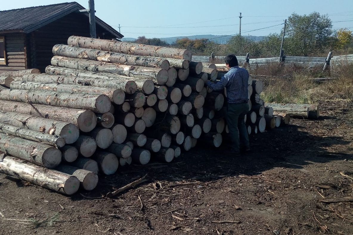 Acţiune cu efective mărite pentru prevenirea şi combaterea delictelor silvice