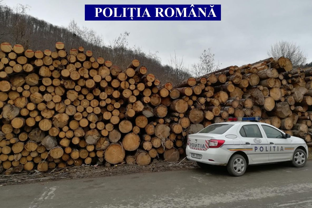 234 mc de lemn confiscați de poliţiştii din Lupşa