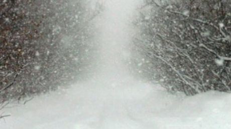 Atenție, vin zapezile! Reguli de comportament pe vreme severă