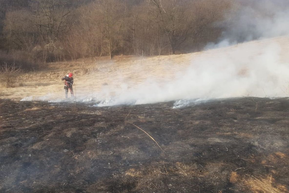 VIDEO: Incendiu de vegetație uscată pe strada Lalelelor din Alba Iulia