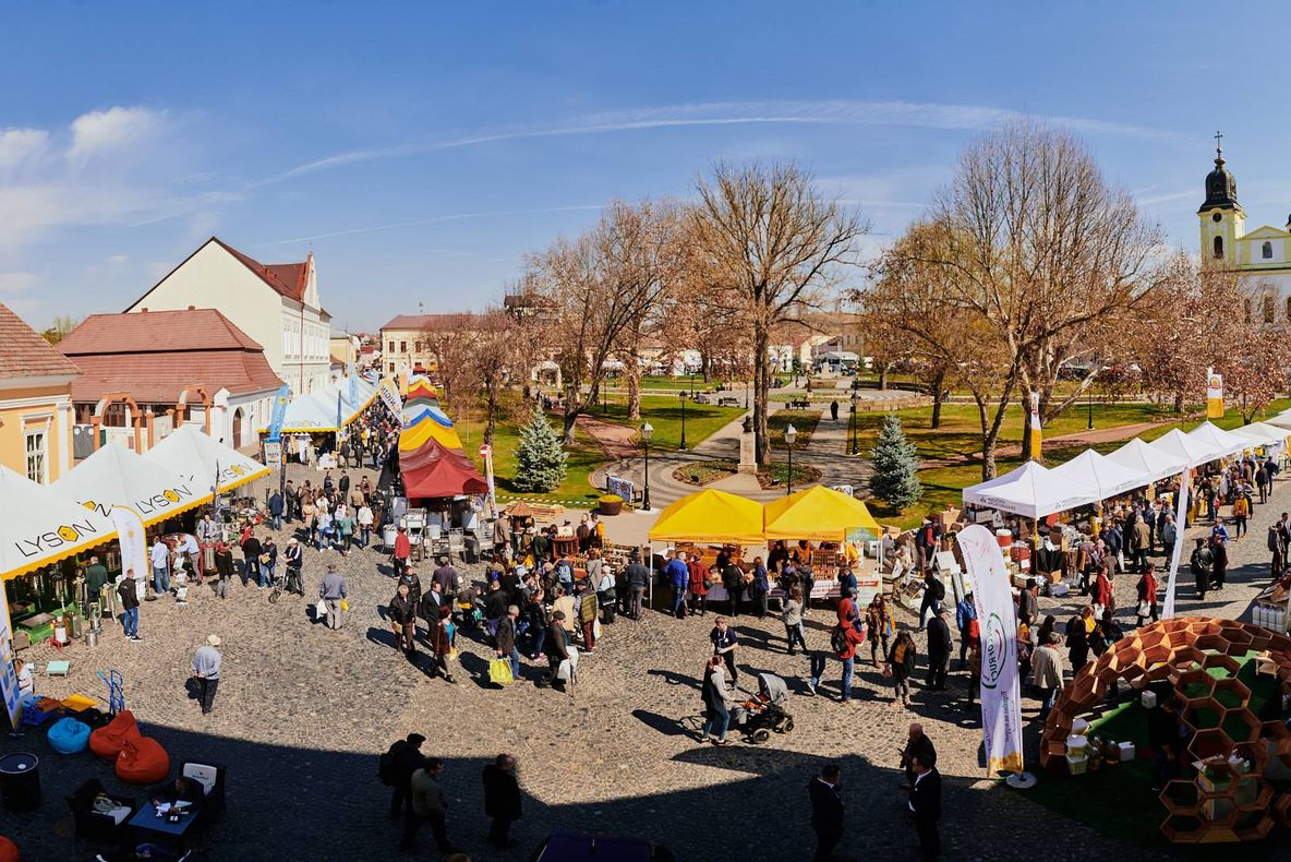 Sărbătoarea Mierii – Blajul devine capitala europeană a mierii