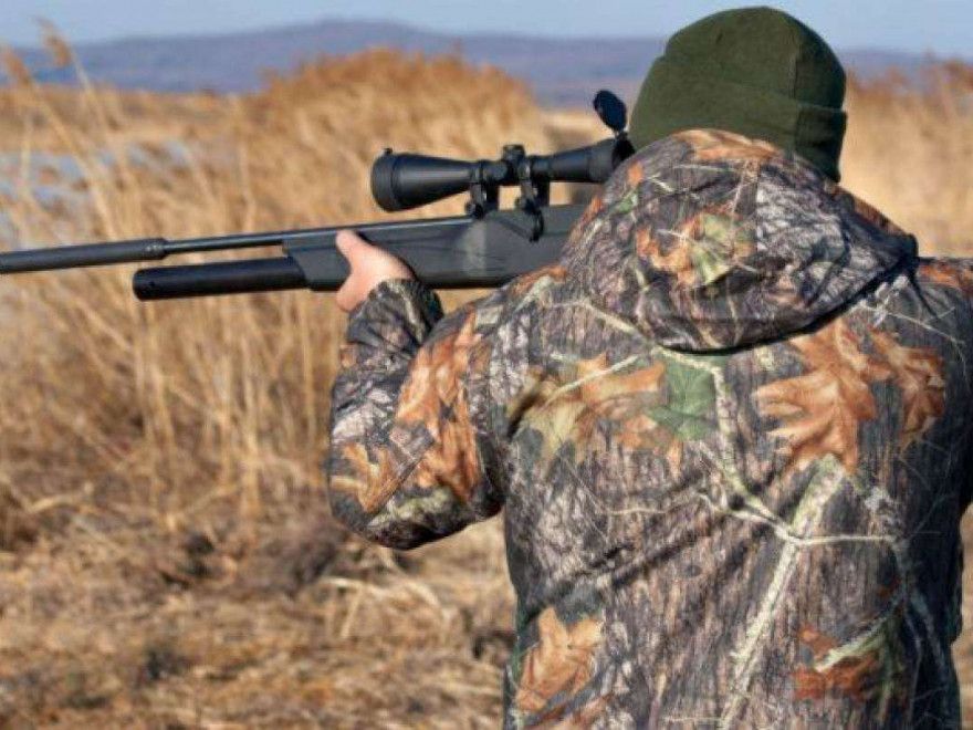 VIDEO : Pădurar și paznic de vânătoare reținuți pentru braconaj