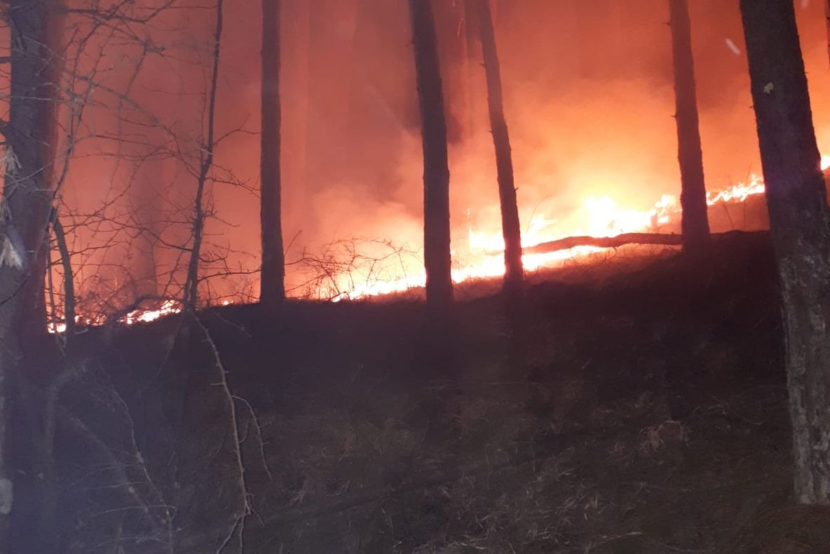 Avertisment al polițiștilor : Atenţie la incendiile de vegetaţie uscată! 