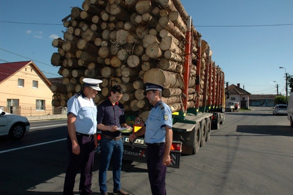 SCUTUL PĂDURII : Acţiune cu efective suplimentare, pentru prevenirea şi combaterea delictelor silvice.