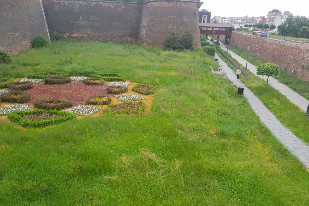 Cealaltă Capitală arată ca o curte fără stăpân. Aranjamentele peisagiste și monumentele sunt năpădite de buruieni.