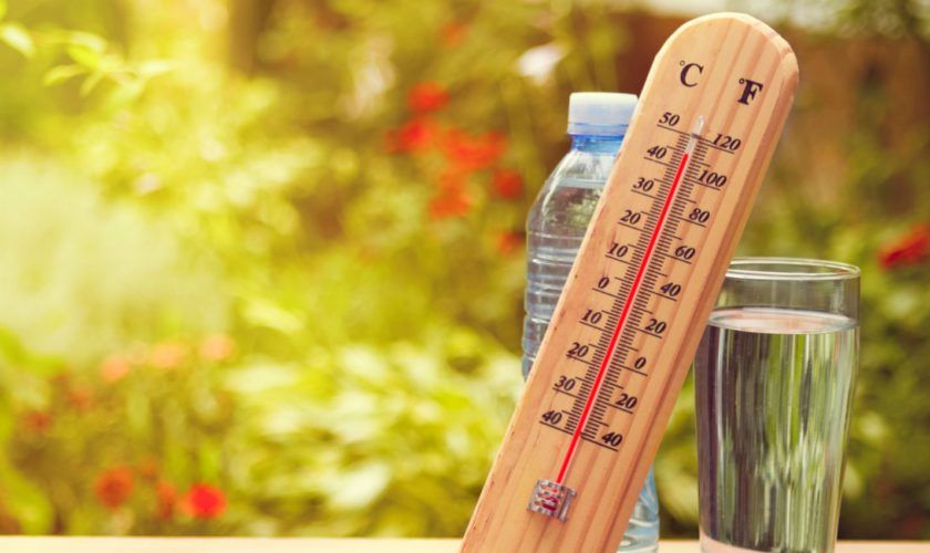 Recomandări DSP pentru zilele caniculare