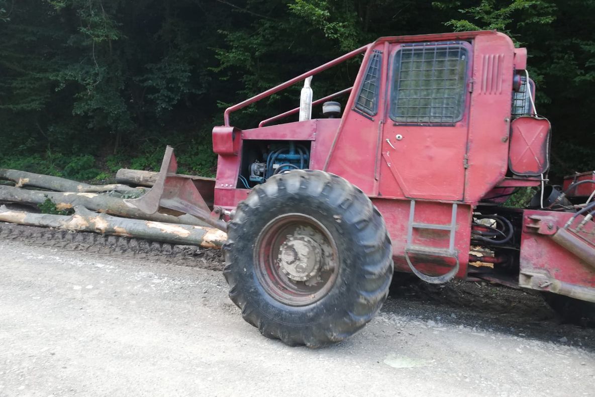 Bărbați cercetați pentru infracțiuni silvice