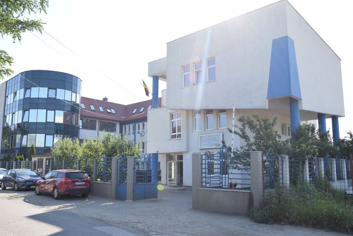 DSVSA Alba în ALERTĂ : Focare de Pestă Porcină Africană în județe vecine