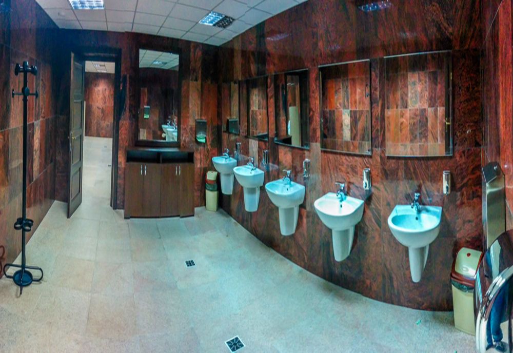 Recunoștință BIZARĂ în Alba Iulia. Autoritățile Locale au PREMIAT îngrijitoarea unei TOALETE PUBLICE pentru implicare