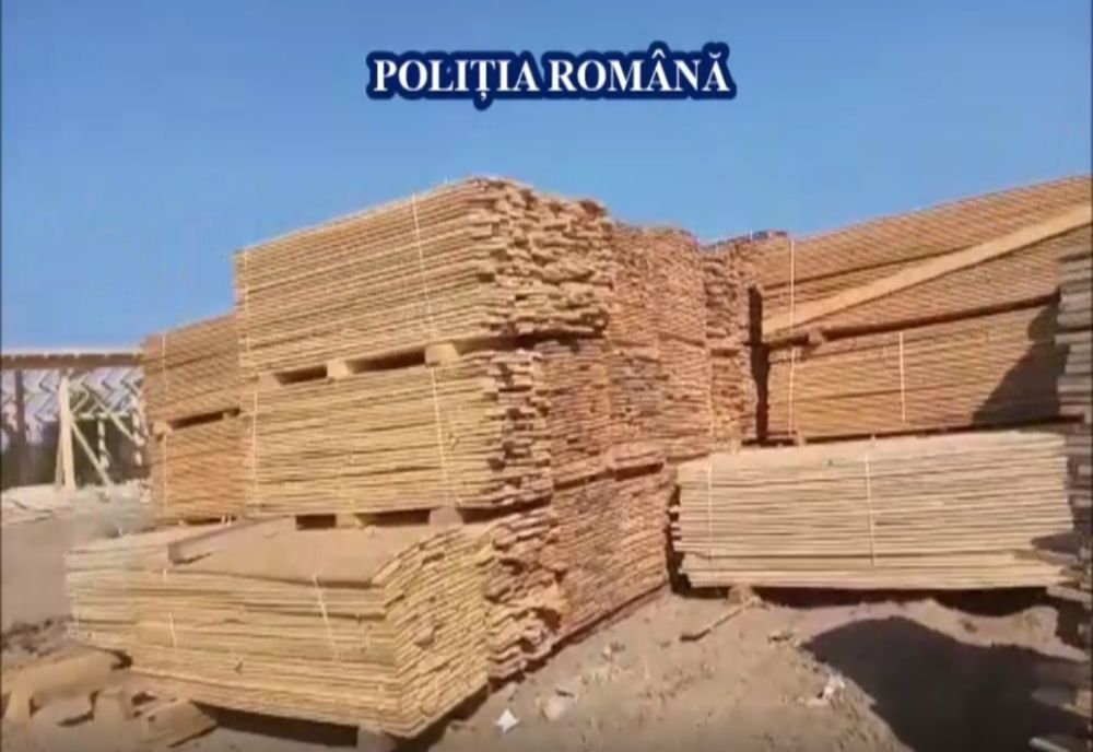 Cum a reușit o gașcă de șmecheri să taie 1.900 de metri cubi de material lemnos din fondul forestier național 