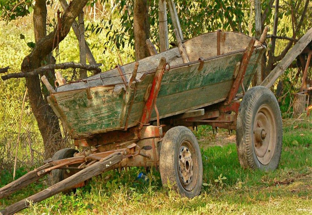 Recidivist! Săptămâna trecută a furat un cal, acum o căruță