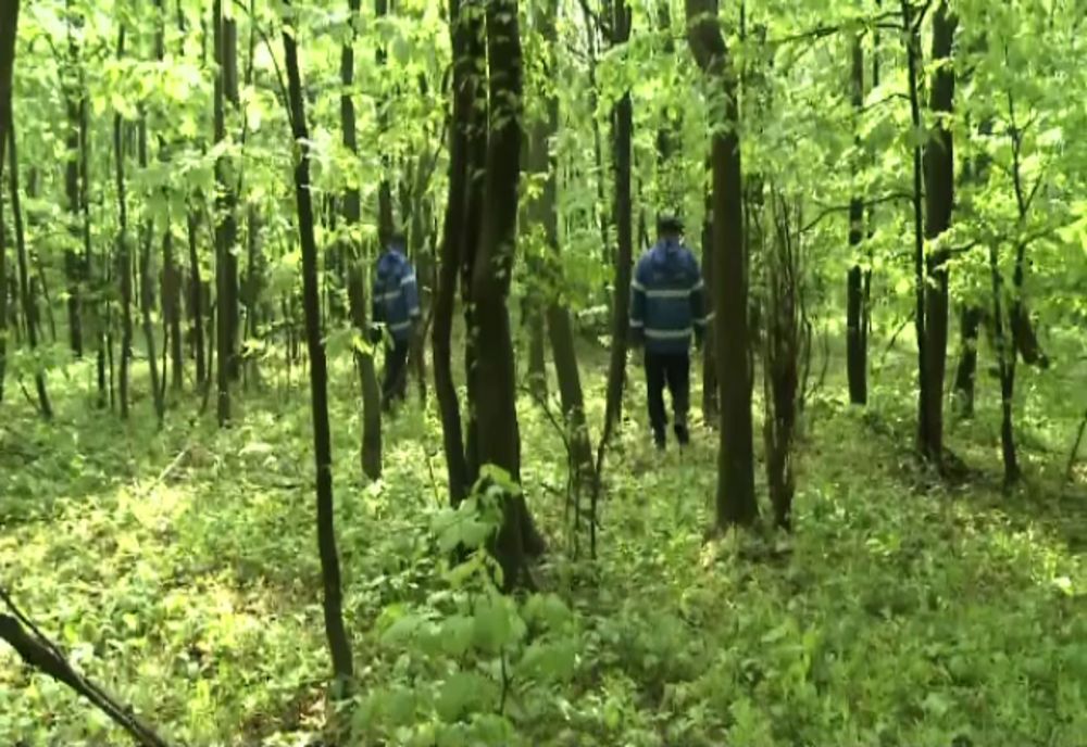 Femeie rătăcită în pădure, găsită la scurt timp de salvatori