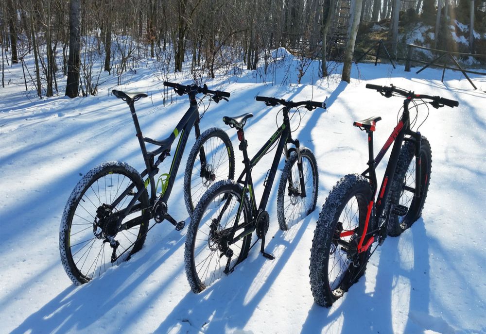 Hoți de biciclete, prinși de polițiști