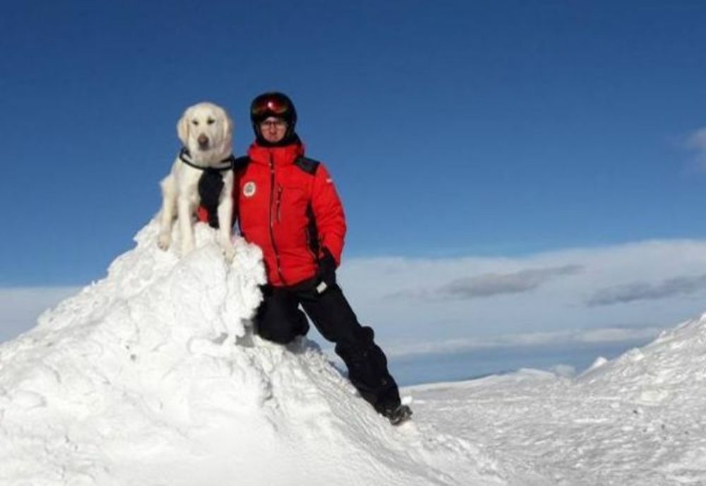 Cum este pregătit un câine de căutare în caz de avalanşă