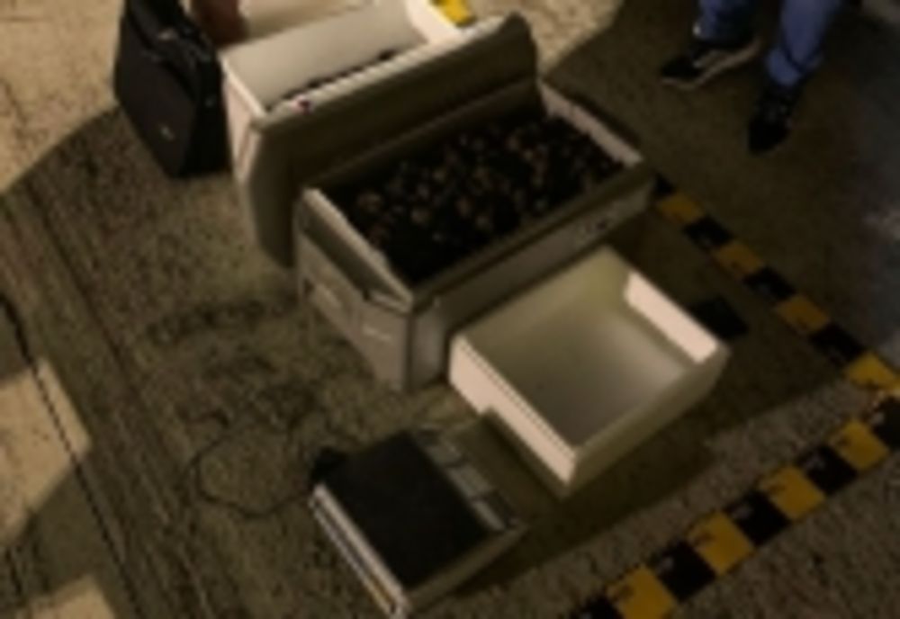 Trufe în valoare de aproximativ 91.000 de lei, depistate în mașina unui tânăr din Alba