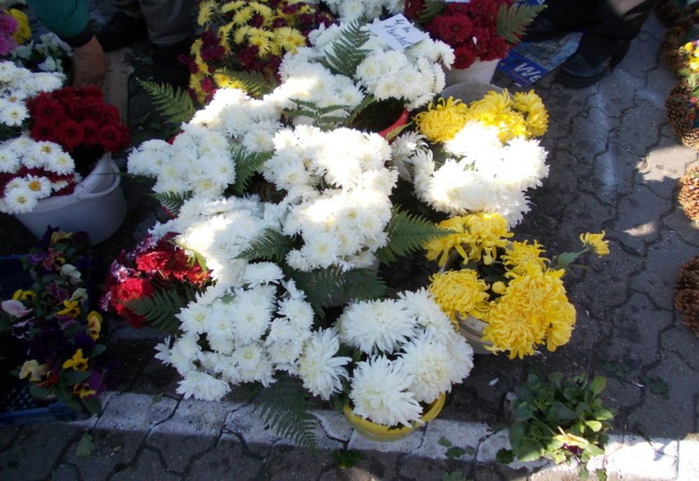 Orașul din România copleșit de decese Covid! Groparii nu mai fac față