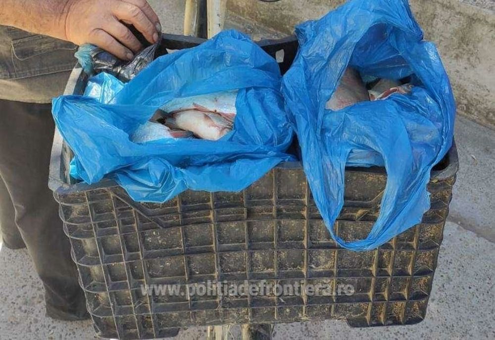 Acţiune de combatere a ilegalităților în domeniul piscicol