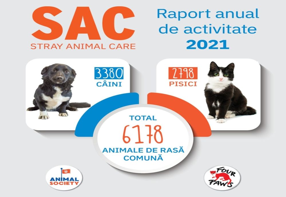 2021 – Un an plin de provocări, se încheie cu rezultate bune