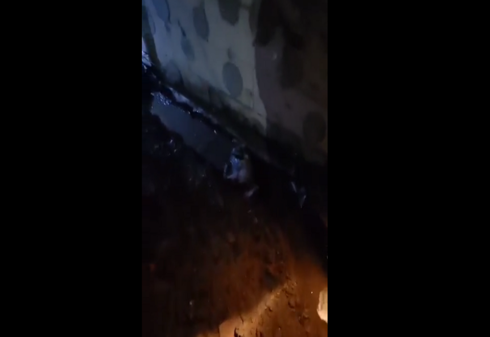 ȘOCANT! Un bărbat a lovit un câine cu o lopată. Polițiștii l-au identificat - VIDEO