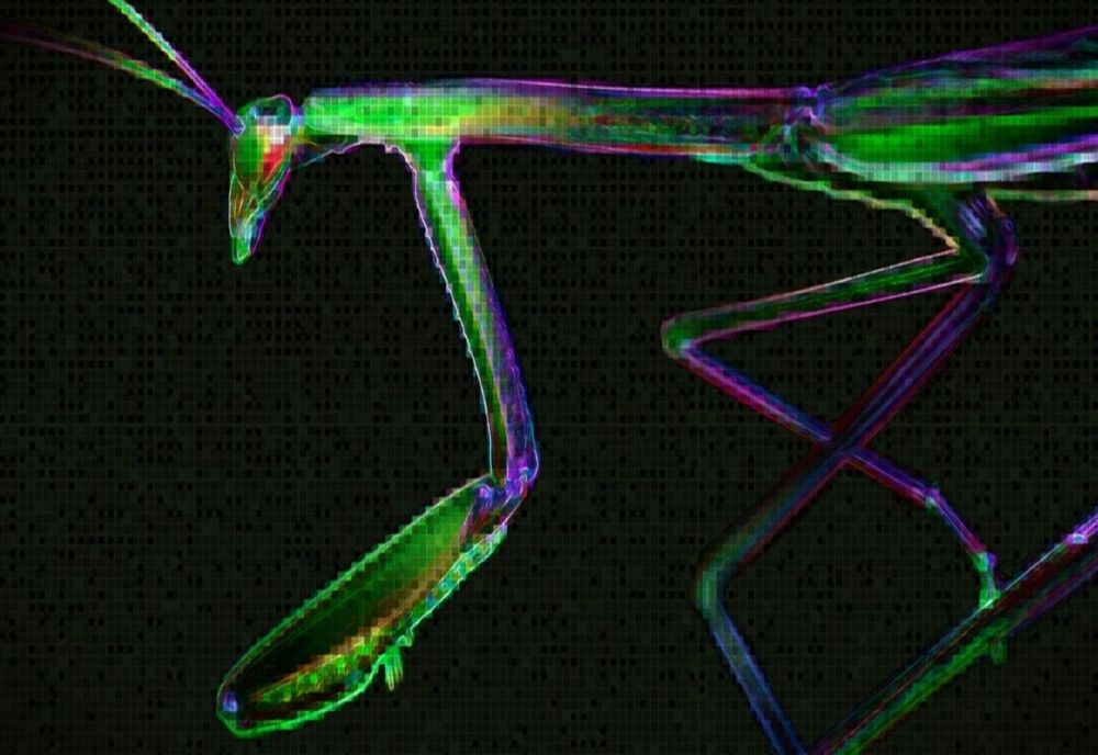 O nouă campanie malițioasă se răspândește în Europa