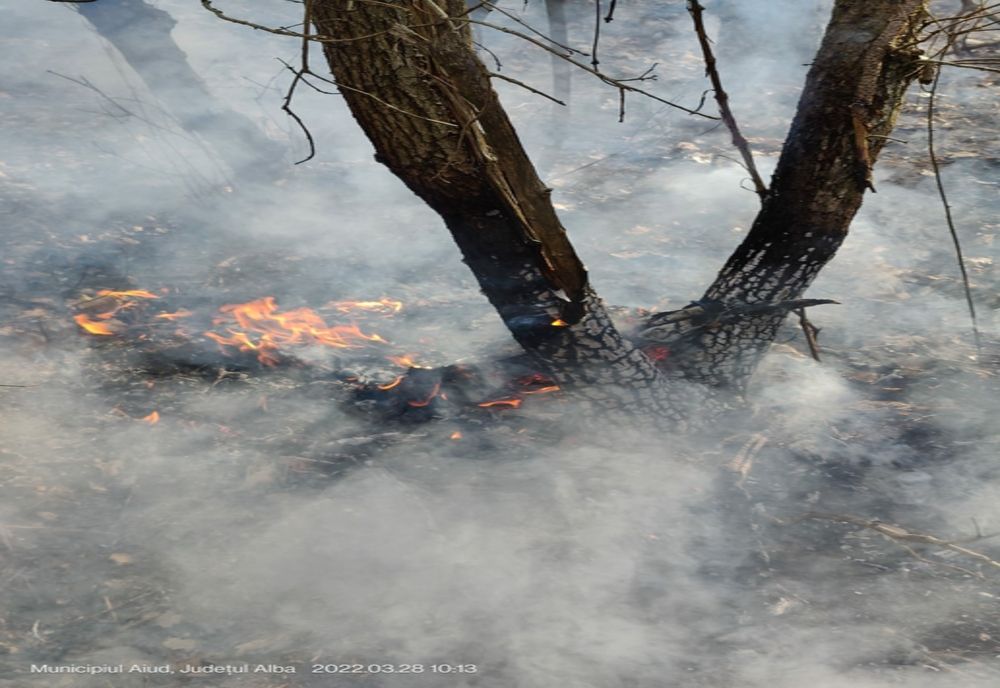 Zeci de incendii de vegetație uscată, stinse de pompieri, în weekend