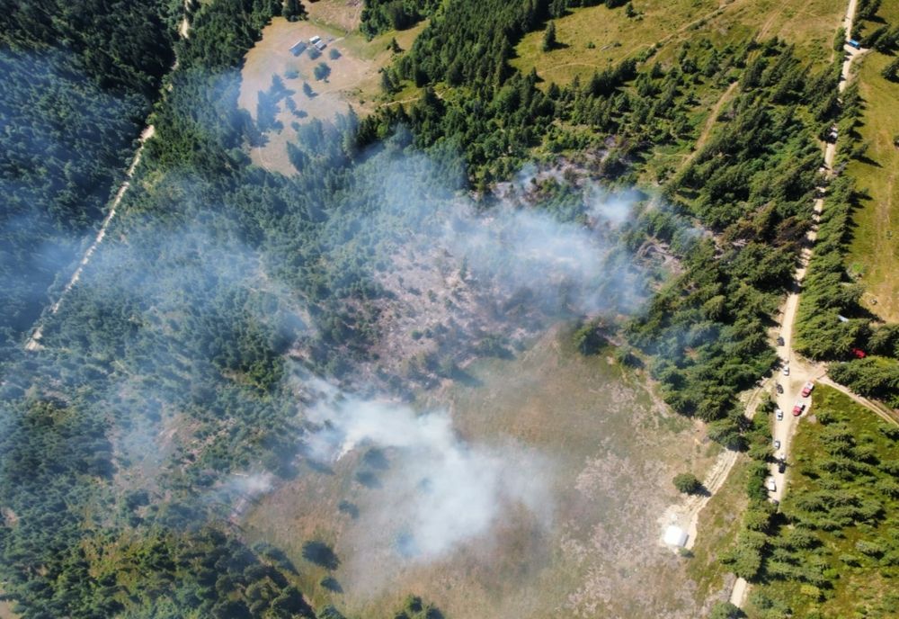 VIDEO - Incendiu de vegetație uscată și coronament pădure de molid în zona Bărăști - Dărnilosu 