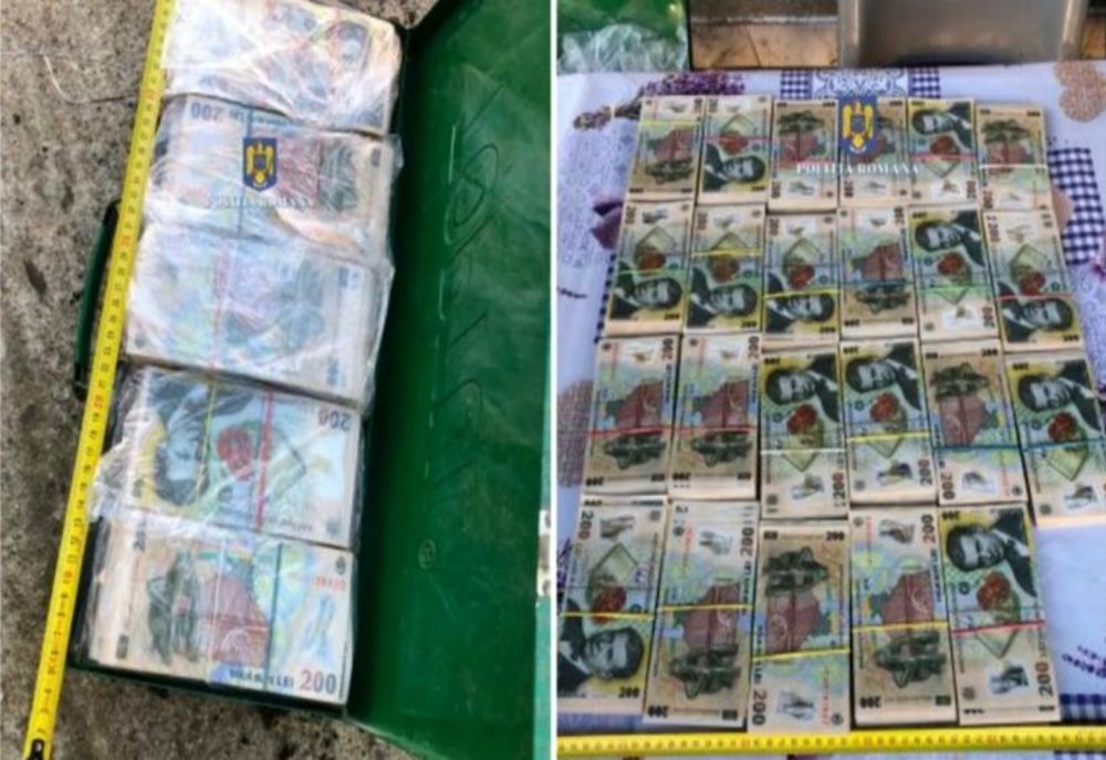 Peste 450.000 de lei găsiți într-o valiză îngropată. Banii proveneau din furturi