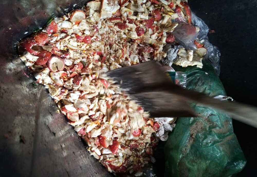 Ciuperci din piața agroalimentară, cu risc pentru consumatori, distruse de DSVSA Alba