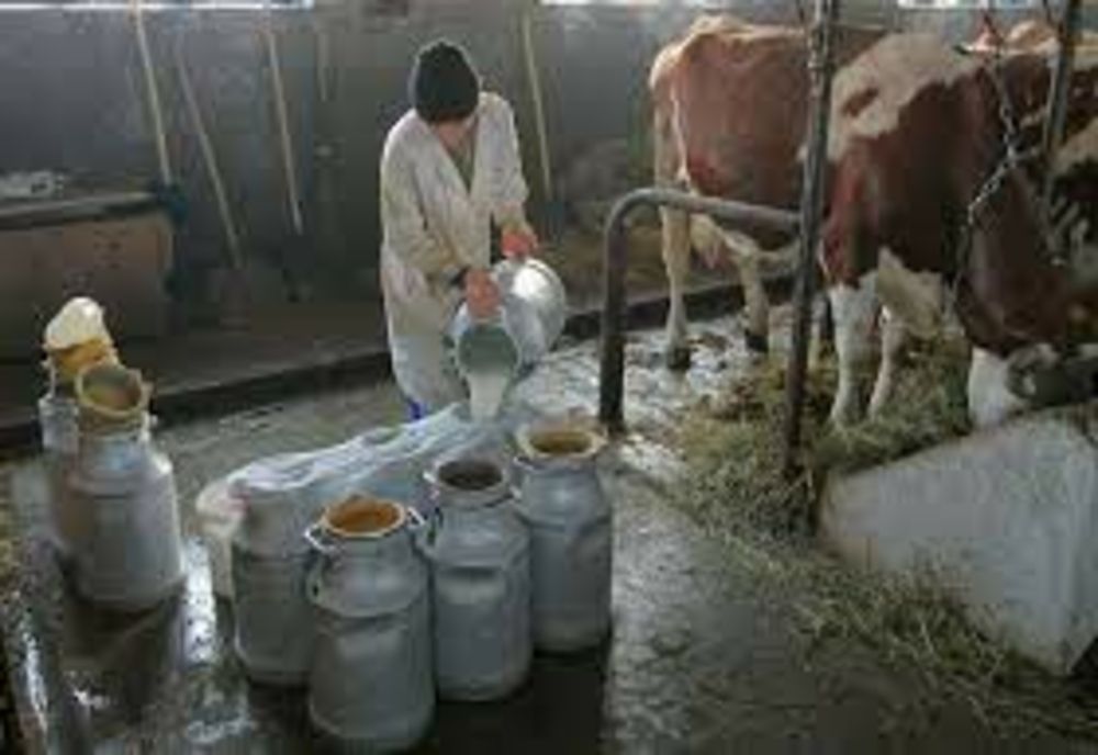 Autorizarea centrelor de colectare și prelucrare a laptelui se face de către DSVSA Alba 