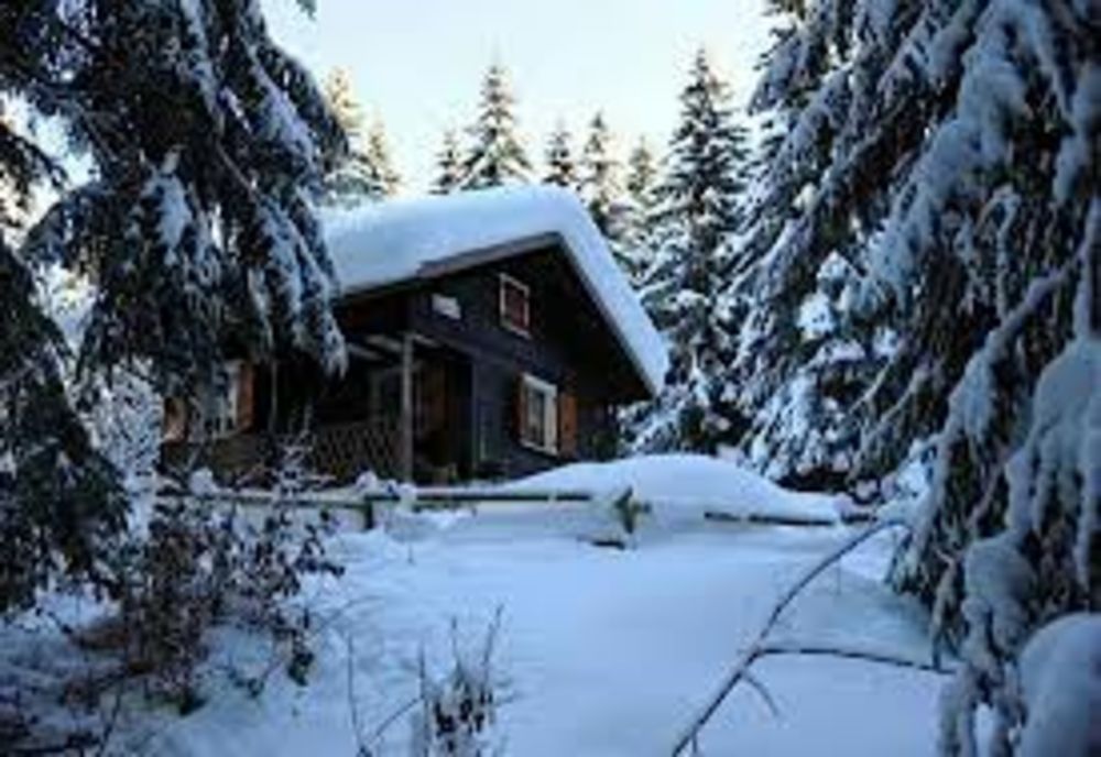 Cum au rămas doi bucureșteni și fără 4.000 de lei și fără cabană de Crăciun