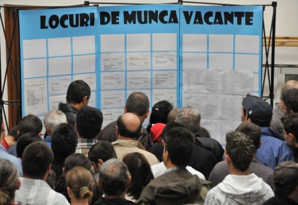 Rata șomajului în județul Alba