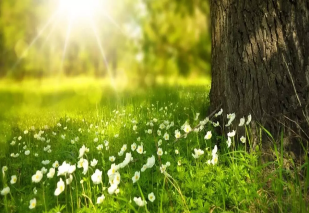 VREMEA 8 IUNIE. TEMPERATURI DE FOC ÎN MAJORITATEA REGIUNILOR ȚĂRII 